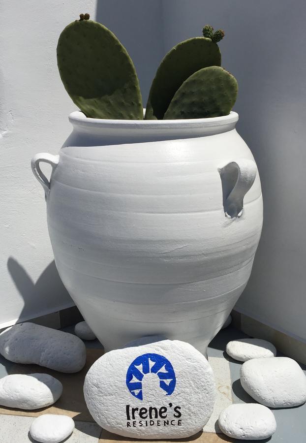 Irene'S Residence Mykonos Town エクステリア 写真